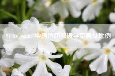 淮北中国消防救援学院男女比例