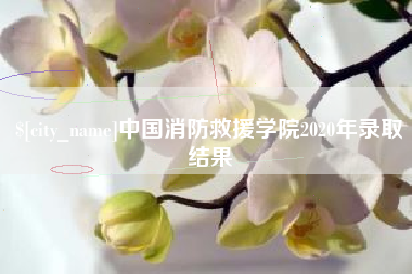 淮北中国消防救援学院2020年录取结果