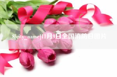 淮北11月9日全国消防日图片