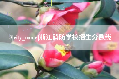 淮北浙江消防学校招生分数线