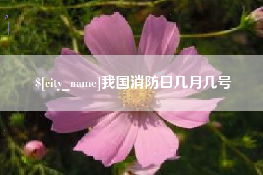 淮北我国消防日几月几号