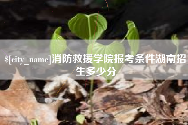 淮北消防救援学院报考条件湖南招生多少分