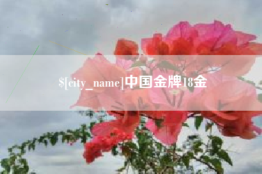 淮北中国金牌18金