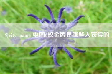 淮北中国6枚金牌是哪些人获得的