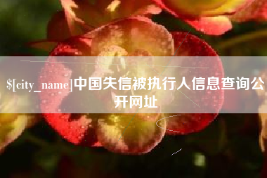淮北中国失信被执行人信息查询公开网址