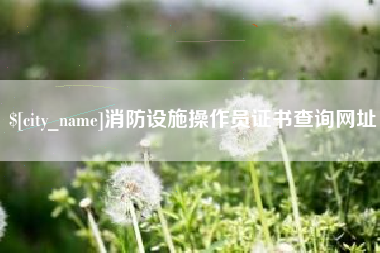 淮北消防设施操作员证书查询网址