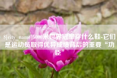 淮北5000米世界冠军穿什么鞋-它们是运动员取得优异成绩背后的重要“功臣”