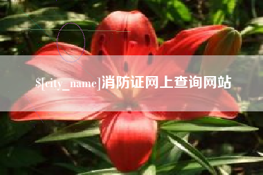 淮北消防证网上查询网站