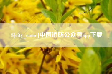 淮北中国消防公众号app下载