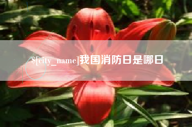 淮北我国消防日是哪日