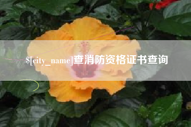 淮北查消防资格证书查询