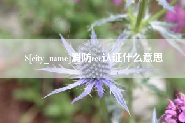 淮北消防ccc认证什么意思