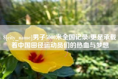 淮北男子5000米全国记录-更是承载着中国田径运动员们的热血与梦想