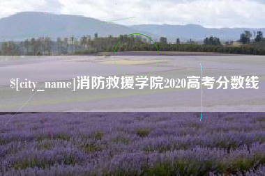 淮北消防救援学院2020高考分数线
