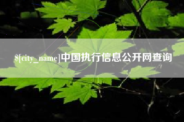 淮北中国执行信息公开网查询