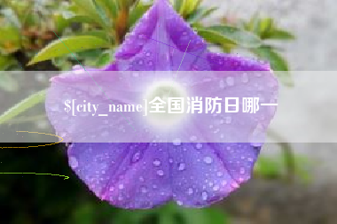 淮北全国消防日哪一
