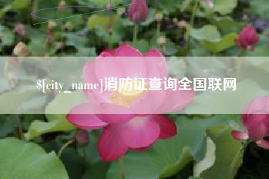 淮北消防证查询全国联网