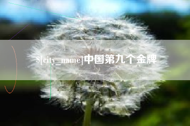 淮北中国第九个金牌