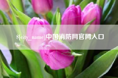 淮北中国消防网官网入口