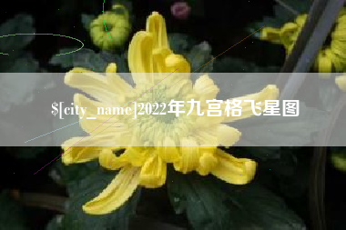淮北2022年九宫格飞星图