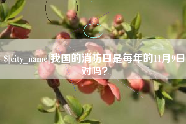 淮北我国的消防日是每年的11月9日对吗？