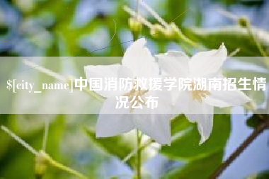 淮北中国消防救援学院湖南招生情况公布