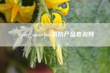 淮北ccc消防产品查询网