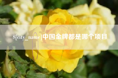 淮北中国金牌都是哪个项目