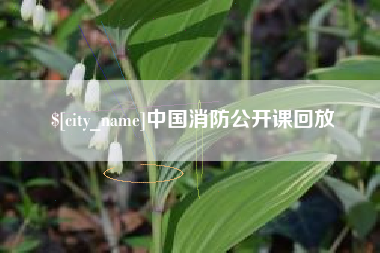 淮北中国消防公开课回放