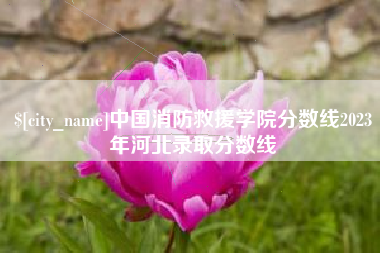 淮北中国消防救援学院分数线2023年河北录取分数线
