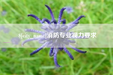 淮北消防专业视力要求