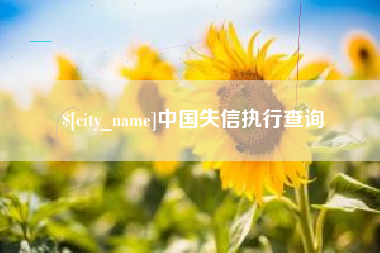 淮北中国失信执行查询