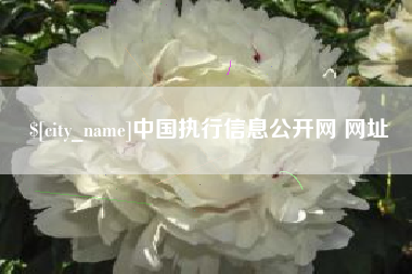 淮北中国执行信息公开网 网址