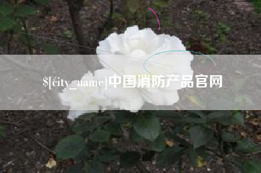 淮北中国消防产品官网
