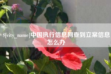 淮北中国执行信息网查到立案信息怎么办
