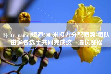 淮北短道5000米接力分配圈数-每队由多名选手共同完成这一漫长赛程