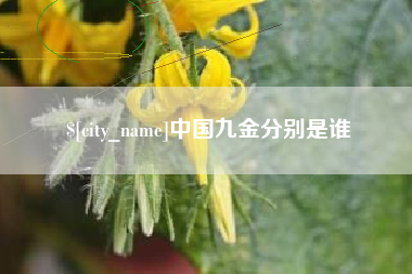 淮北中国九金分别是谁