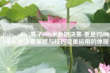 淮北男子5000米长跑决赛-更是对5000米长跑决赛策略与技巧完美运用的体现