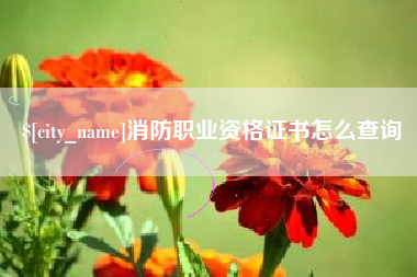 淮北消防职业资格证书怎么查询