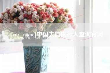 淮北中国失信执行人查询官网