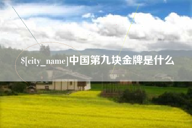 淮北中国第九块金牌是什么