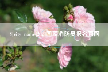 淮北2021国家消防员报名官网