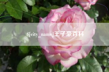 淮北王子豪百科