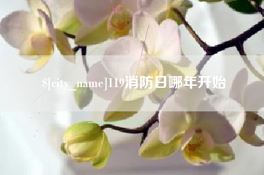 淮北119消防日哪年开始