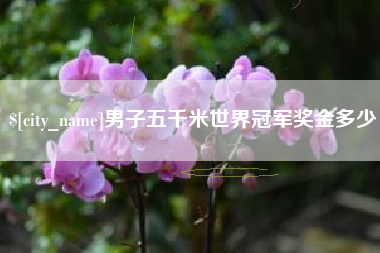 淮北男子五千米世界冠军奖金多少