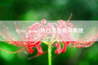 淮北执行公告查询系统