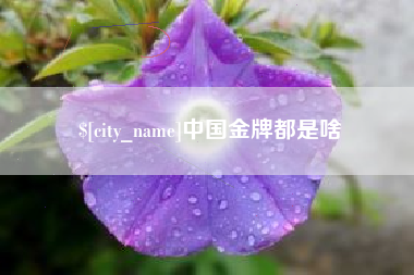 淮北中国金牌都是啥