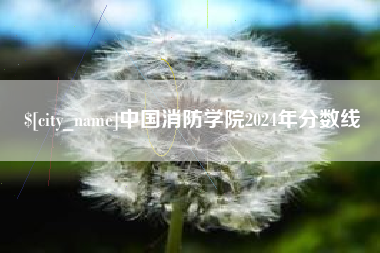 淮北中国消防学院2024年分数线