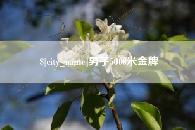 淮北男子5000米金牌