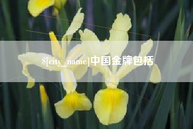 淮北中国金牌包括